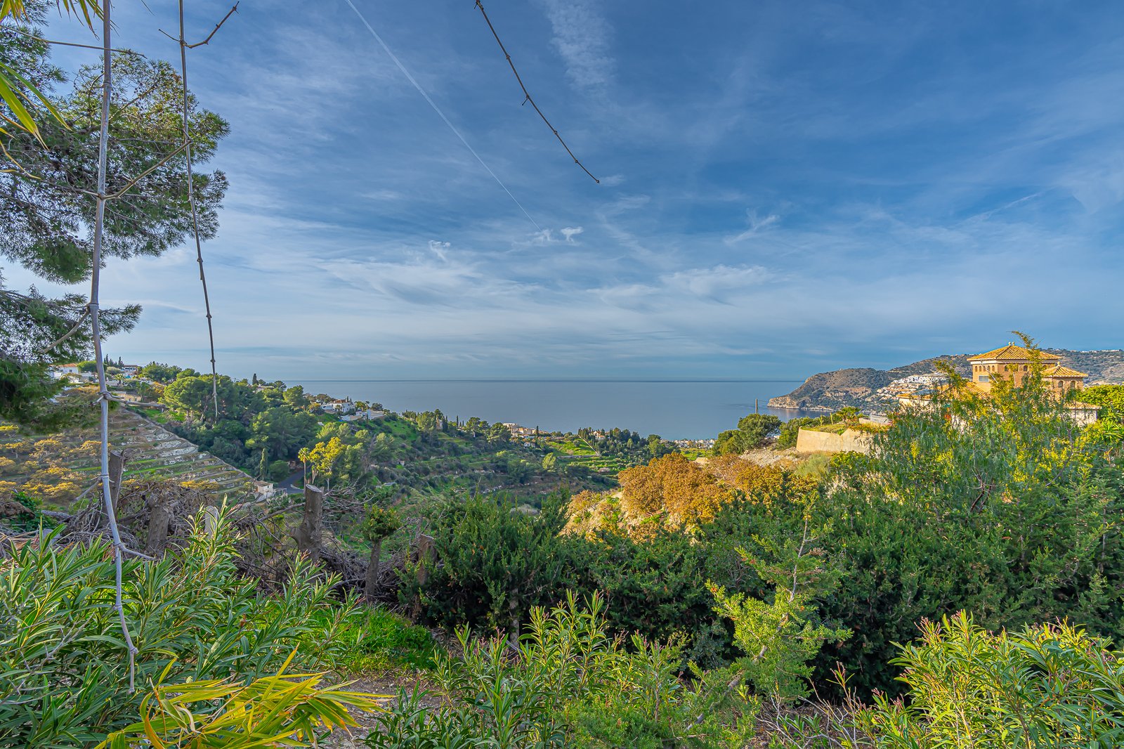 Finca subtropical frente al Mediterráneo